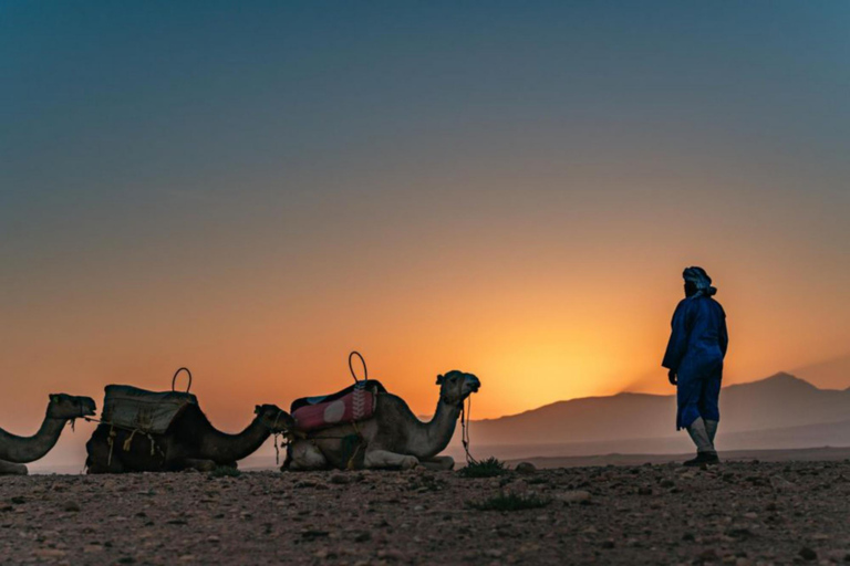 Au départ de Marrakech Dîner et coucher de soleil dans le désert d'Agafay et promenade à dos de chameau