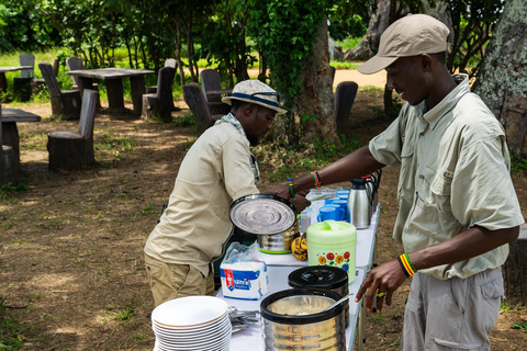 From Zanzibar: Best Day Safari Mikumi with flights and lunch