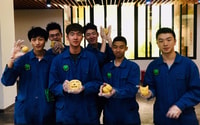 Volontario di Wolong o Dujiangyan Panda Base di Dujiangyan - Housity