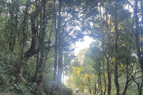 Pokhara: 2-Day Australian Base Camp & Dhampus Trek
