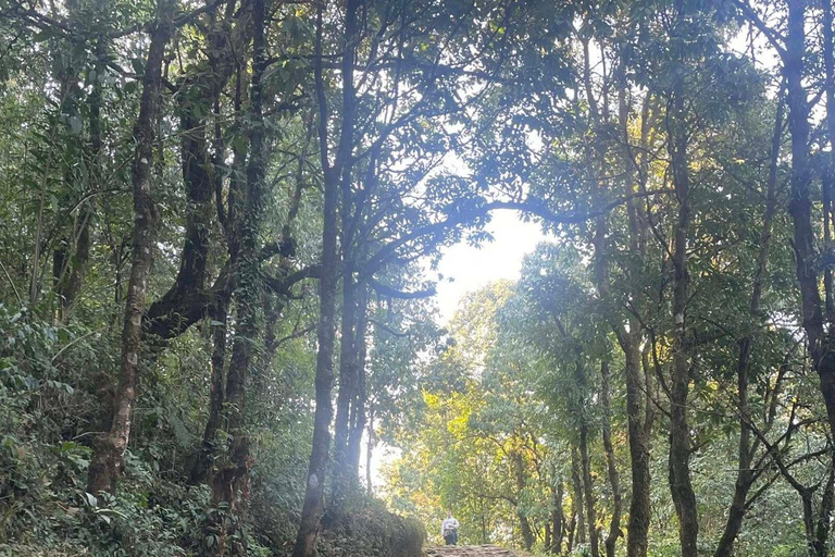 Pokhara: 2-Day Australian Base Camp & Dhampus Trek
