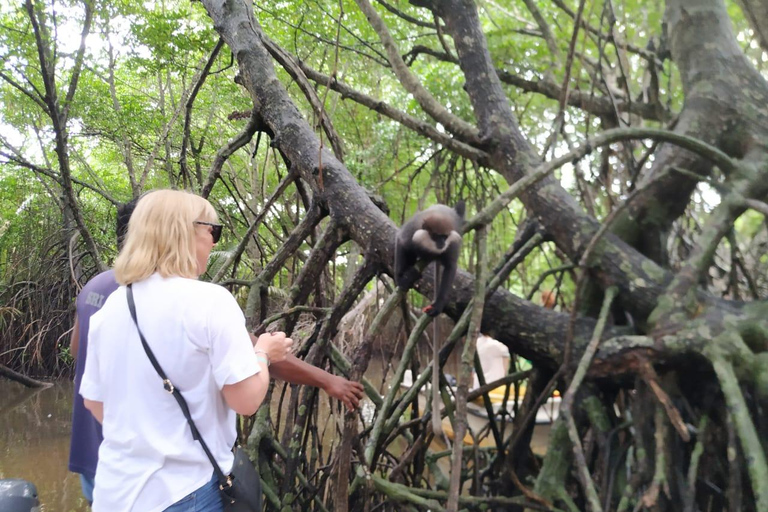 Kalutara: passeio guiado privado pela cidade de Tuk TukKalutara: visita guiada privada à cidade de Tuk Tuk