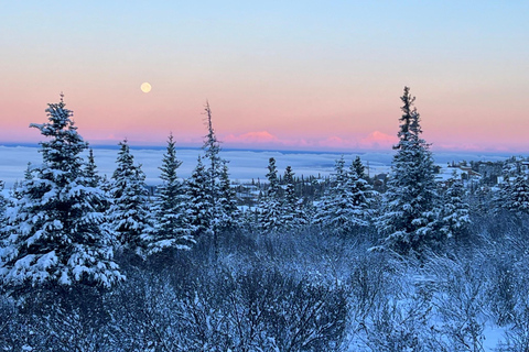 From Anchorage: Glen Alps Beginner's Snowshoeing Adventure