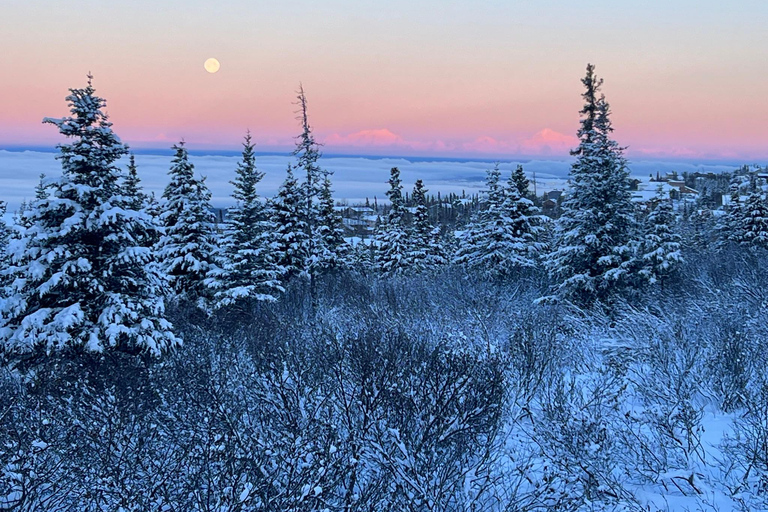 From Anchorage: Glen Alps Beginner's Snowshoeing Adventure