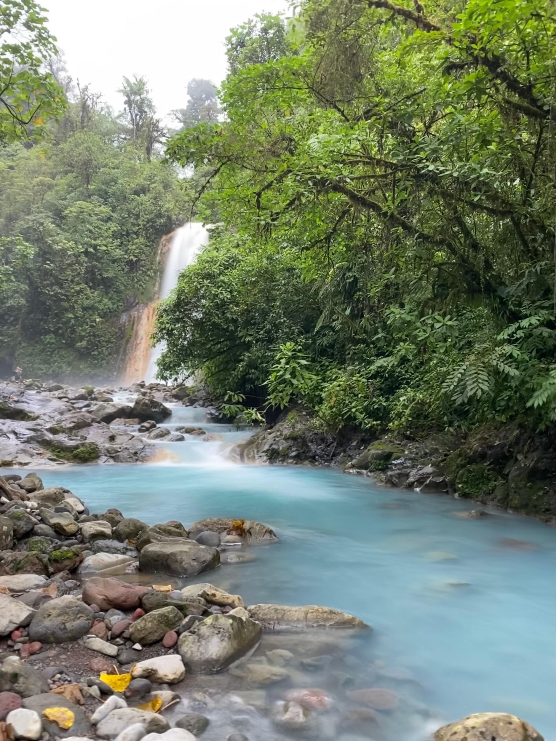 Costa Rica: Wasserfall-Wandertour im tropischen Regenwald