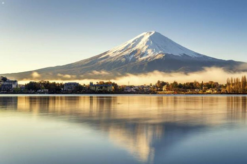 From Tokyo: Mt. Fuji & Hakone Private Scenic Day Tour