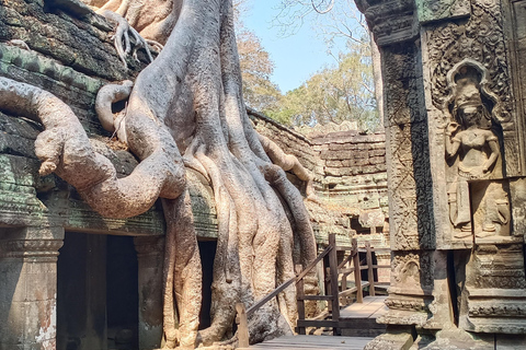 Tour privado de un día con salida del sol en Angkor Wat