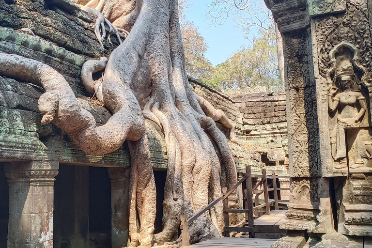 Tour privado de un día con salida del sol en Angkor Wat