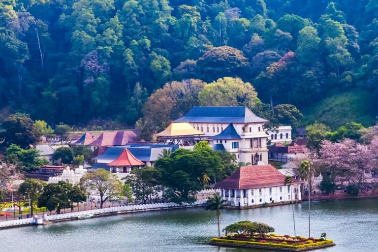 Sri Lanka Most Affordable Taxi Service – USD 0.5 per km 1 km Private Taxi Package – Additional Distance USD 0.50/km