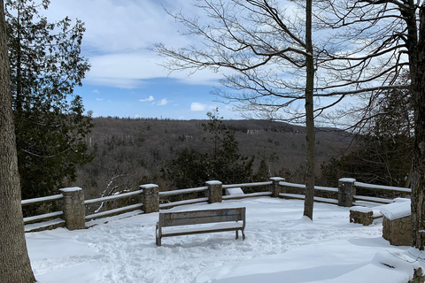 Winterwanderung zum Rattlesnake Point RV-Motorhome Tour