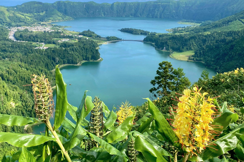 São Miguel : visite de Sete Cidades et d'une plantation d'ananas