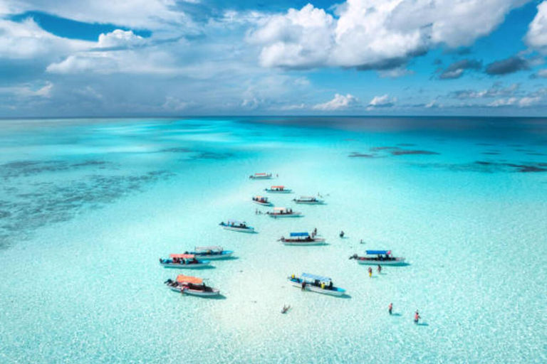 Zanzibar: Dolphin Swim & Snorkeling Guided Tour