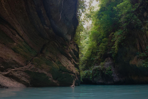 Cebu: Oslob Whaleshark Watching Canyoneering privé ophalen