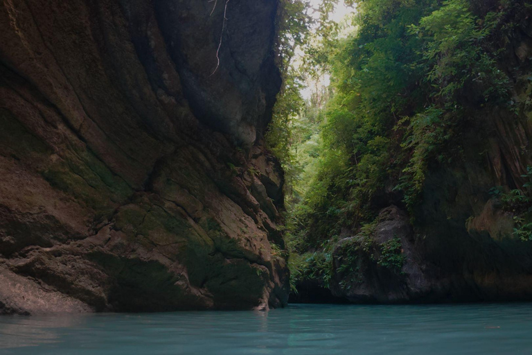 Cebu: Oslob valhajsskådning Canyoneering privat upphämtning