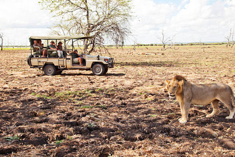 Tanzania: 8-Day Safari and Zanzibar Tour