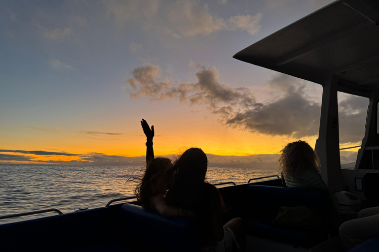 Calheta: Private Catamaran Tour - With Open Bar & Snacks Sunset Tour with Snorkeling & Paddleboarding/ Max 18 people