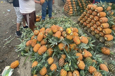 Yakarta: Volcán, campos de arroz y té, aguas termales y comida local