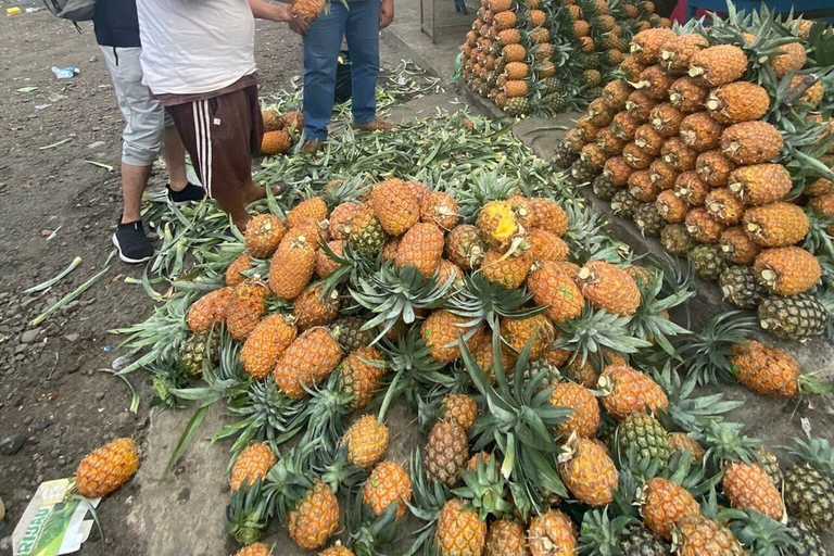 Yakarta: Volcán, campos de arroz y té, aguas termales y comida local