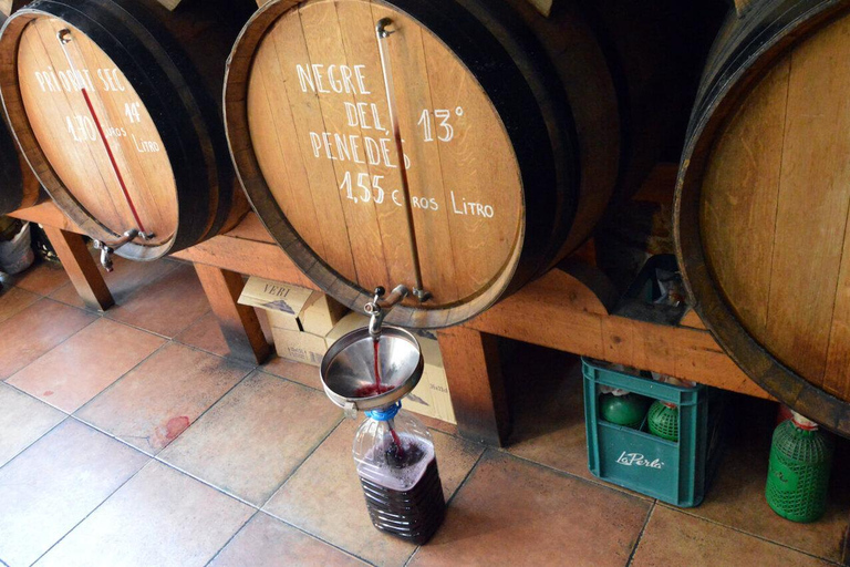 Barcelona: Culinary Backstreets - Bodega's Barrio Tradition