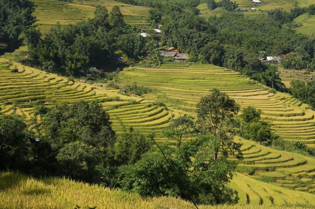 Sapa daily trip: Easy trekking and hotel 2 days 1 night