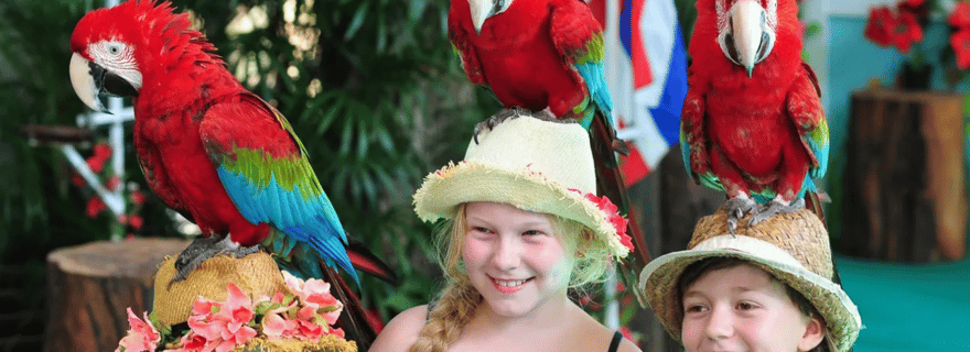 Phuket : entrée au parc ornithologique, nourrissage des perroquets et spectacles quotidiens