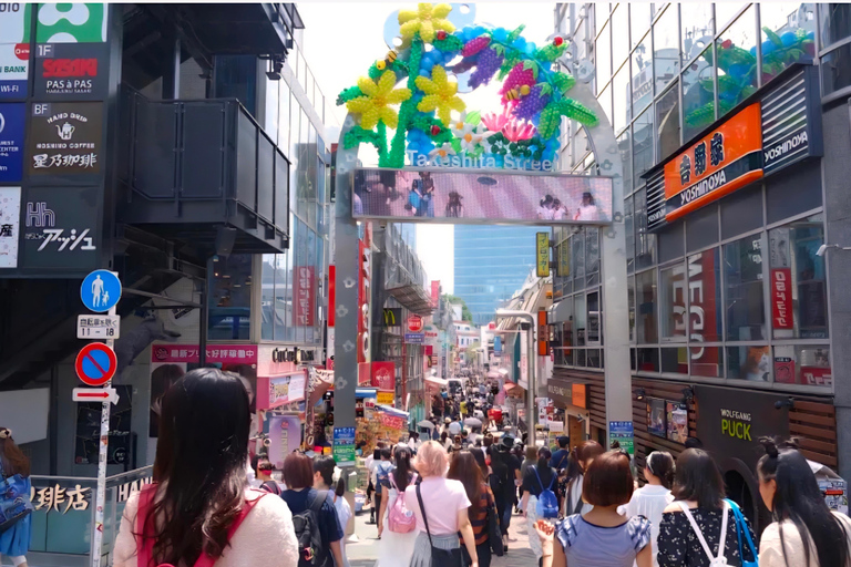 Tokyo Tour:Viral Instagram & TikTok Highlights by Luxury Car