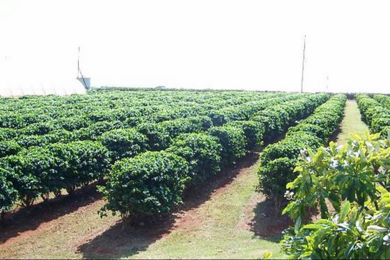 من نيروبي: تجربة جولة بيئية في وسط كينيا لمدة 5 أيام