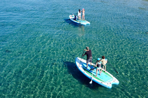 Lake Mead: Giant Paddle Board guided Tour includes 4 people