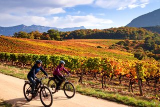 Fronsac: Mountain Bike Tour through the Vineyards & Tasting at La Closerie
