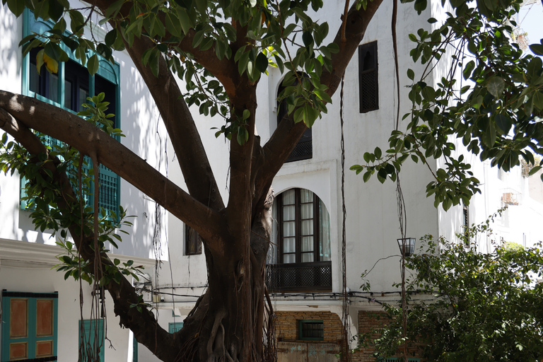 Tangier Jewish Heritage &amp; Highlights Private Tour