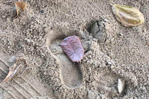 Lautoka Waterfront, hotele Vuda do plaży Natadola w obie strony