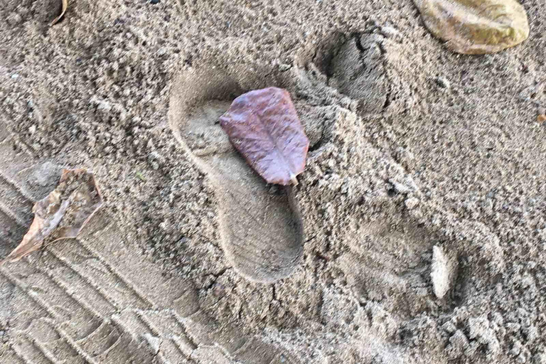 Lautoka Waterfront, hotele Vuda do plaży Natadola w obie strony