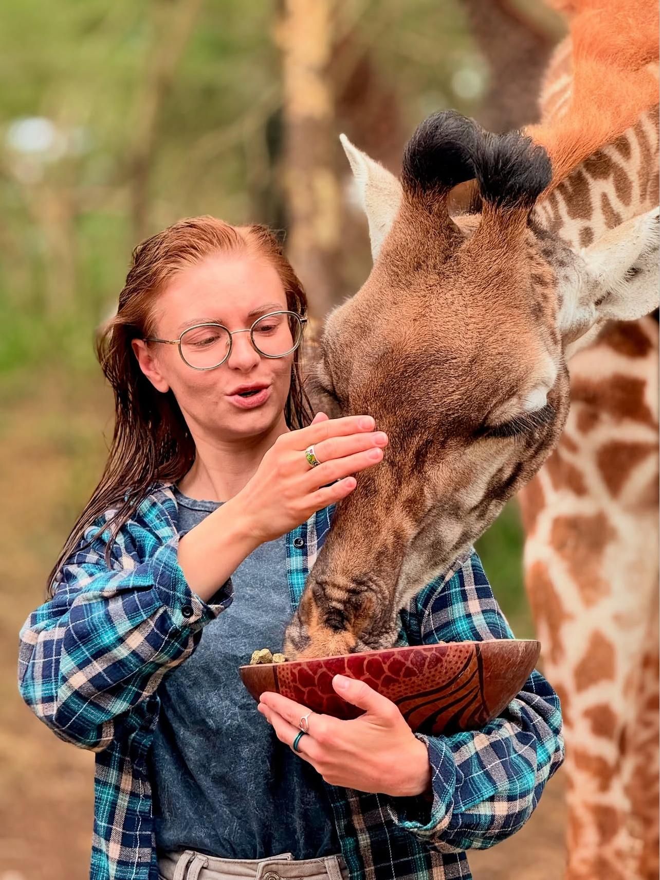 Moshi/Arusha: Serval-Wildtiertour und/oder Massai-Dorf-Tour