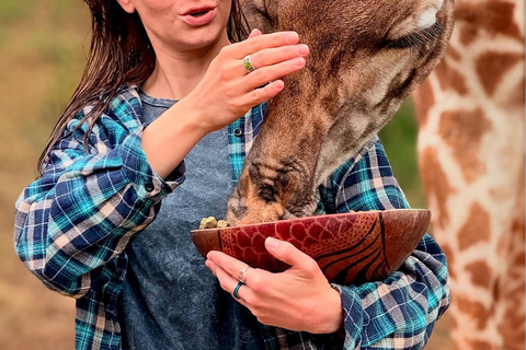 Moshi/Arusha : Day trip serval wildlife & Masai village tour Moshi / Arusha: Visit to Maasai Village