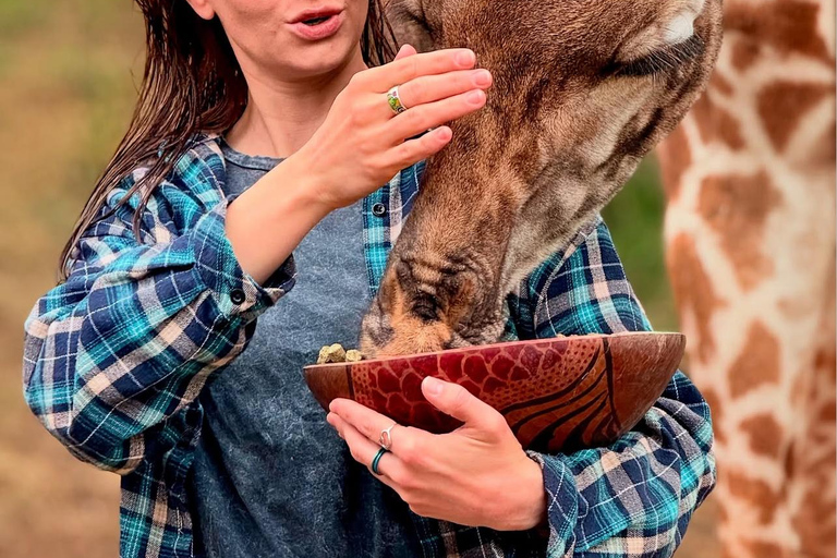 Moshi/Arusha : Day trip serval wildlife & Masai village tour Moshi / Arusha: Visit to Maasai Village