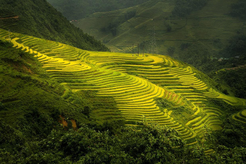 Z Hanoi: 3-dniowy trekking Sapa (nocleg w hotelu i u rodziny goszczącej)