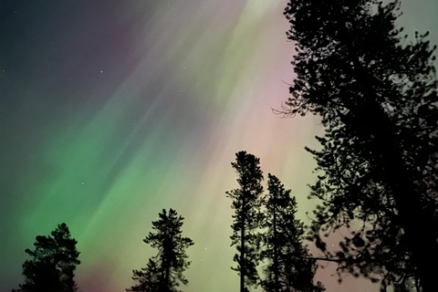 Banff Night Sky: Northern Lights and/or Stargazing Tour