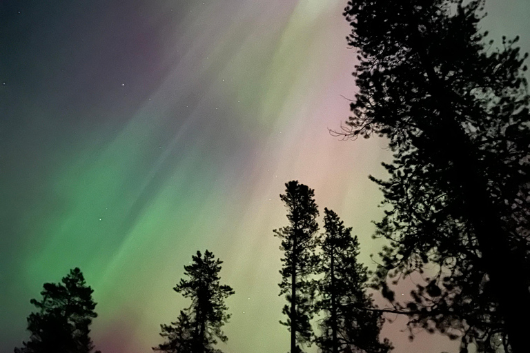 Banff Night Sky: Northern Lights and/or Stargazing Tour