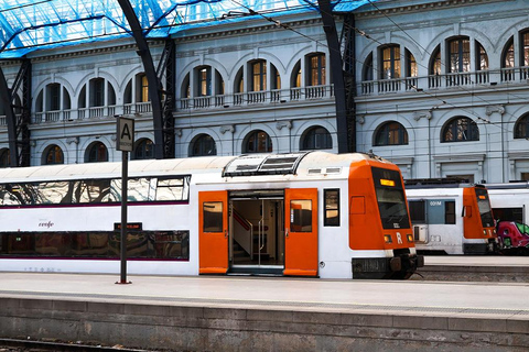 MegaCombo de Viena: Schönbrunn, Sisi, tour a pie y trasladosMegacombo de Viena: Schönbrunn, Sisi, tour a pie y traslados