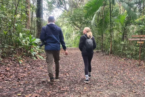 São Paulo: Viagem de 1 dia na Mata Atlântica com um Biólogo