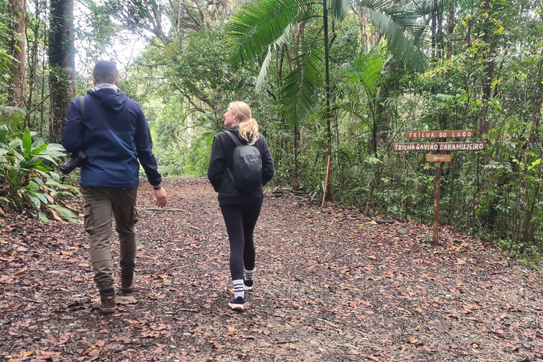 San Paolo: Escursione nella foresta atlantica con un biologoSan Paolo: Escursione di un giorno nella foresta atlantica con un biologo