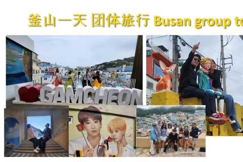 Busan: Kleingruppentour für Kreuzfahrtschiffpassagiere[kleine Gruppe] Englischsprachiger Reiseleiter