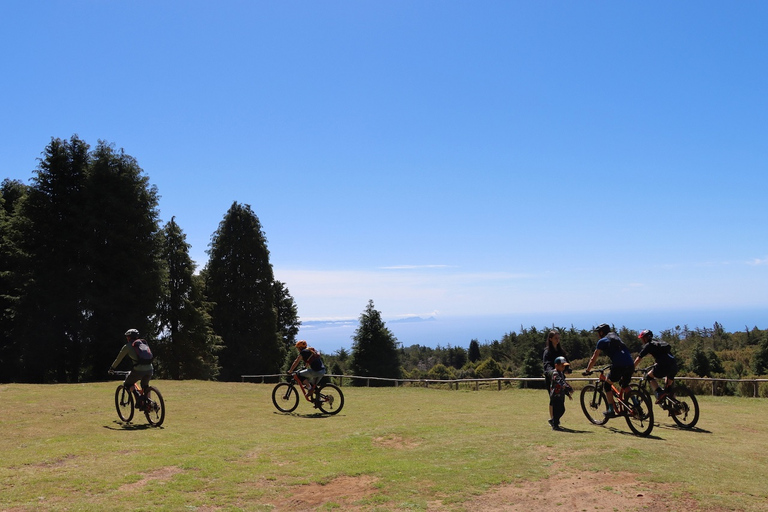 Madeira - Mountain Biking Tour