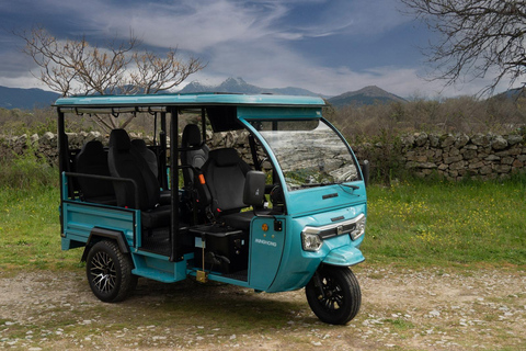 Malaga: Tour in a comfortable, modern, eco-friendly, and socially conscious electric tuk tuk. TOUR EXPRESS: 35-40 minutes along the coast and the Gibralfaro viewpoint