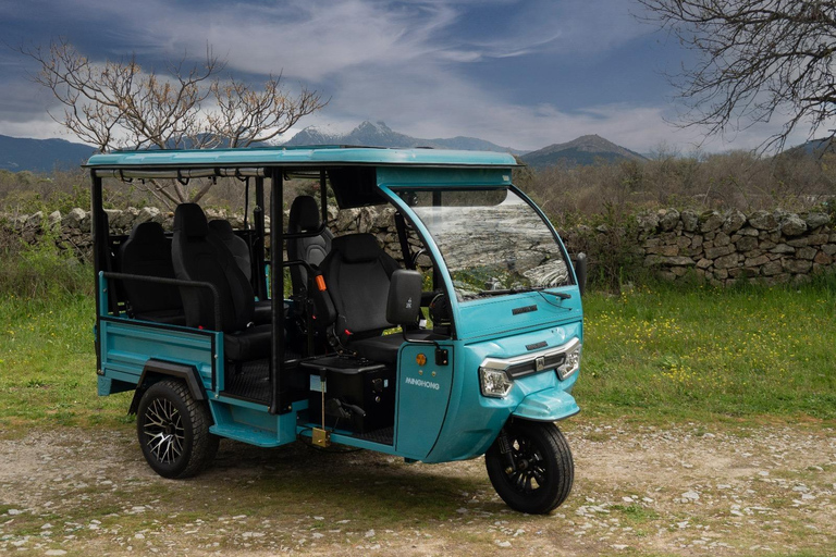 Málaga: Tour in einem bequemen, modernen, umweltfreundlichen und solidarischen Elektro-Tuk-Tuk.TOUR EXPRESS: 35-40 Minuten entlang der Küste und zum Aussichtspunkt Gibralfaro