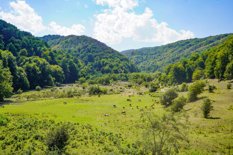 Norra Azerbajdzjans naturskatter på 5 dagar