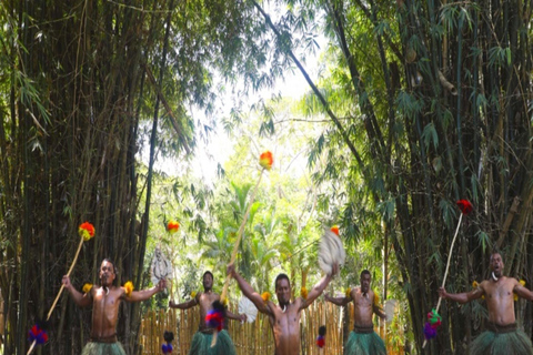 Fidżi: wieczorna wycieczka po wiosce z kolacją i show