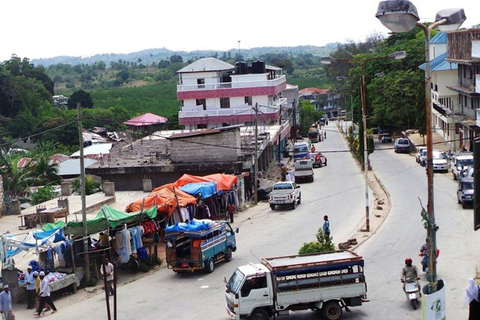 Dzień w raju: odkryj magię wyspy Pemba