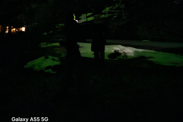 Tromsø:Tour de la aurora boreal en minibús por Tromsø