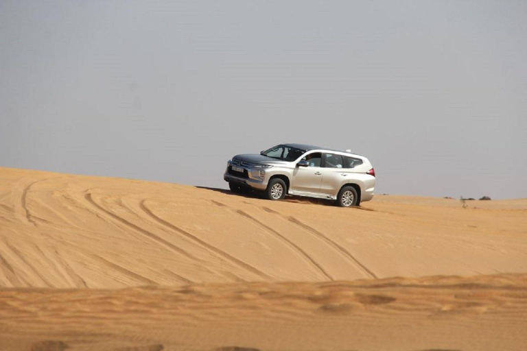 Agadir : Désert du Sahara et Médina de Tiznit : visite privée et déjeuner